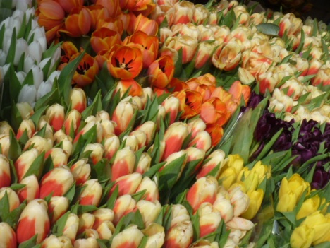 Columbia Road Market