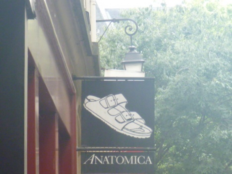 ANATOMICA